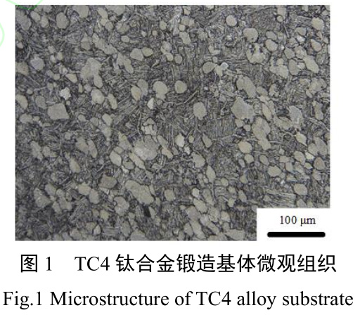 固溶處理對鍛/增復合成形TC4鈦合金鍛件的顯微組織和力學性能的影響