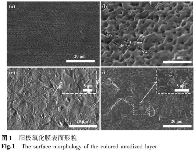 鈦及鈦合金外科植入物陽極氧化表面形貌及元素含量分布研究