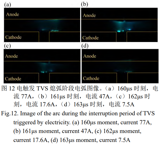 截圖20250213204747.png